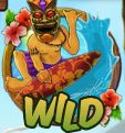 Wild Tiki Wonders