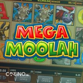 Mega Moolah Jackpot Guide