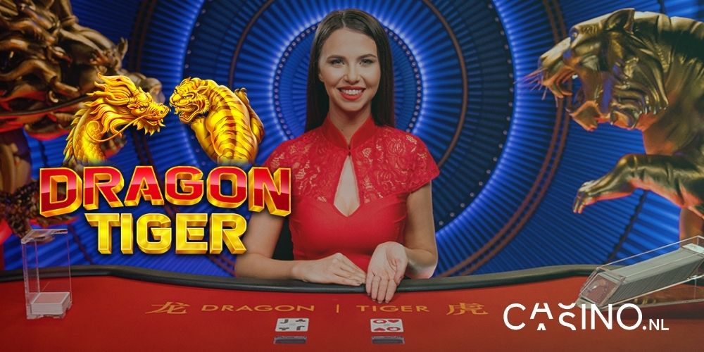 casino.nl spelreview pragmatic play dragon tiger