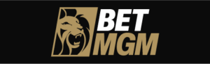 BetMGM Nederland