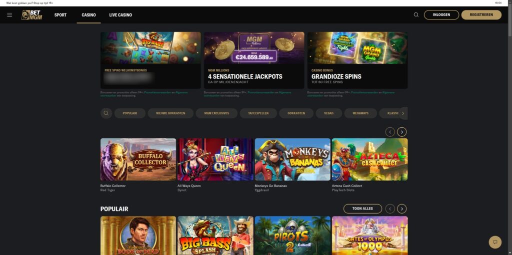 Betmgm online casino