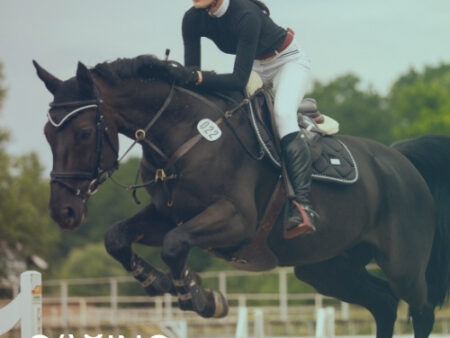 Wedden op paardensport