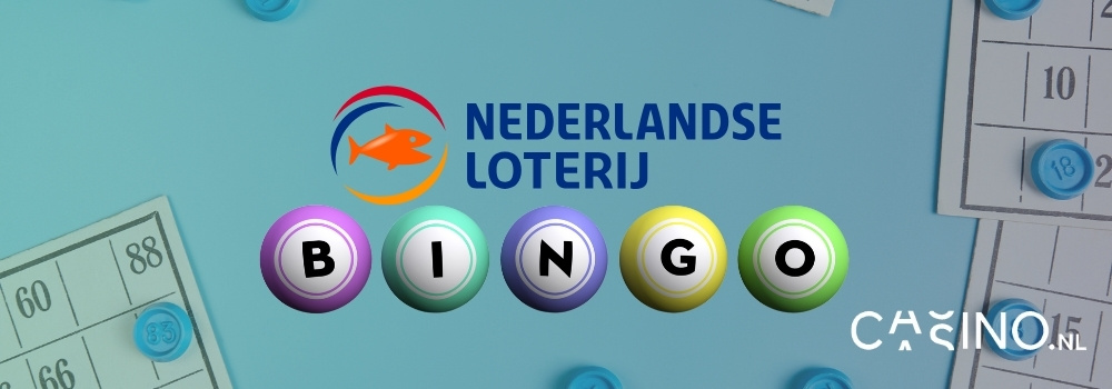 bingo nederlandse loterij